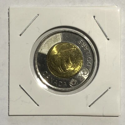 Oso polar Canadá 2019 $2 dólares Toonie - circulado Foto 1 de 3