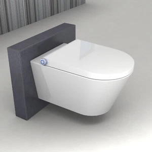 Spülrandloses Dusch WC Komplettanlage Gesäßdusche Ladydusche BERNSTEIN 1102 - Bild 1 von 15