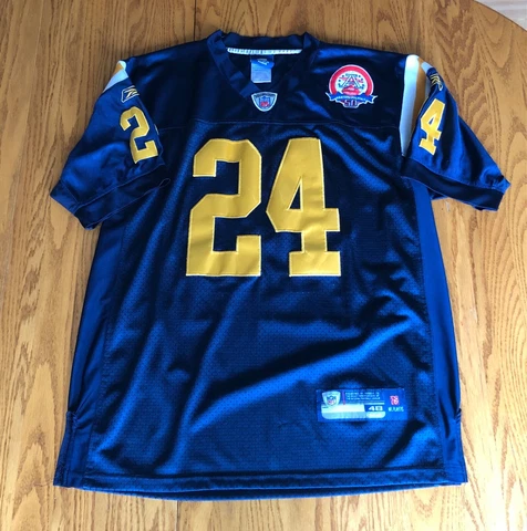 Darrell Revis 2009 50th Anniversary Jersey NY Titans/Jets HOF Super Rare Size 48 Cover