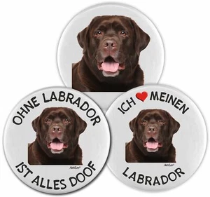 Kühlschrankmagnet - 3er Set - Brauner Labrador Retriever - Hund Magnet Pin Deko - Bild 1 von 2