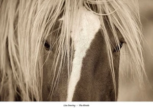 The Blonde Art Print by Lisa Dearing 36 x 26 in. Paper Size New Unframed - Picture 1 of 1