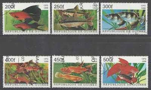 Timbres Poissons Guinée 1255G/M o lot 1259 - Photo 1/1