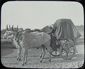 Carro de bueyes deslizable linterna mágica de vidrio ¿FOTO INDIA? - Imagen 1 de 2