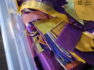 WOW... ÜBER 1.000 Vintage AKC Show Bänder. Verschiedene Staaten. 1928-80er Jahre - Bild 1 von 18