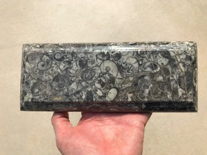 Exclusive Fossil Desk Organiser Pen Tray - Picture 1 of 9