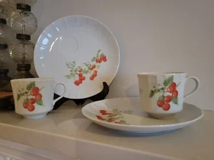 Vintage Luncheon Plates With Cups, The Toscany Collection China, Marischino - Picture 1 of 8
