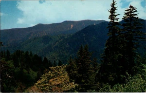 Cartolina Mount LeConte Great Smoky Mountains Parco Nazionale Tennessee Cromo - Foto 1 di 2