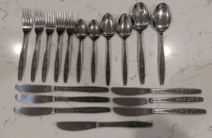18 x Pageant Harvest Stainless Flatware Silverware MCM Japan Oval Soup Teaspoons - Picture 1 of 7