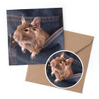 1 x Greeting Card & 10cm Sticker Set - Rodent Rat Chile Chilean Degu #14145