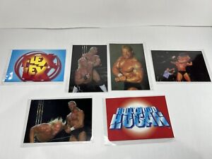Lex Luger Hollywood Hulk Hogan 1998 Panini WCW/nWo Photocard 4x6 Card Lot of 6