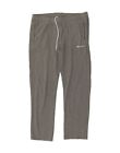 CHAMPION Womens Tracksuit Trousers W32 Large Grey BA06