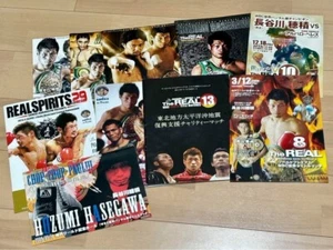 A must-see for boxing fans: Hasegawa Hozumi pamphlet collection talent goods I24 - Picture 1 of 10