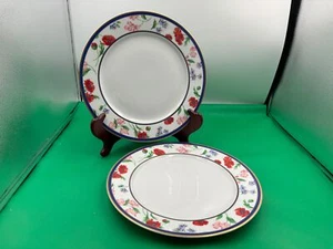 Juego de 2 platos de cena Tiffany & Co. AMERICAN GARDEN Limoges Francia - Imagen 1 de 3