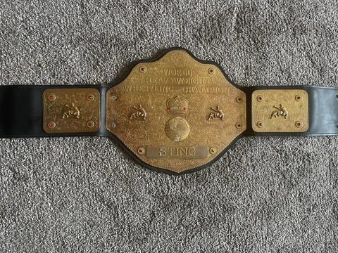 Figures Toy Co Inc WCW Championship WWE Rough Shape but Rare- FREE SHIP- STING Cover