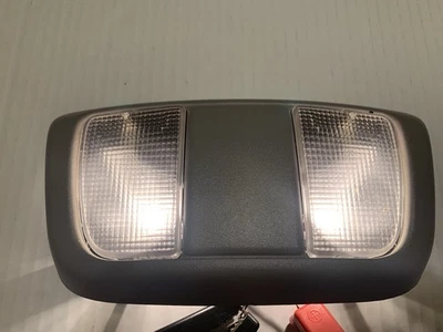 Nissan Xterra Frontier 2002-2004 domo delantero luz mapa gris claro Foto 1 de 4