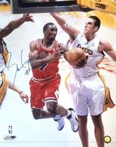 Signed  16x20 BEN GORDON Chicago Bulls Autographed Photo w/COA - Picture 1 of 1