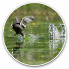 2 x Vinyl Stickers 15cm - Eurasian Common Coot Bird Cool Gift #21507