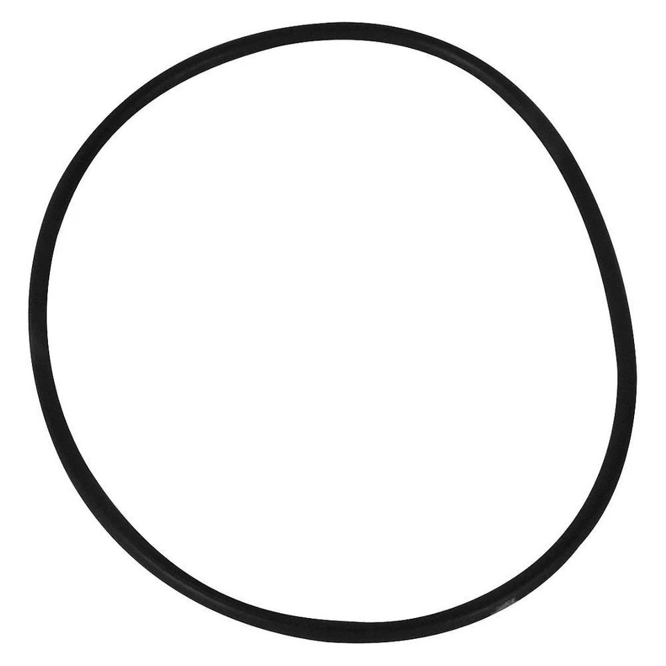 Junta tórica Dayton PPL3410G, Viton 23CH19 Foto 1 de 1