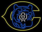 10" Vivid Chicago Bears Alternate Logo Neon Sign Light Lamp Beer Bar Wall Decor