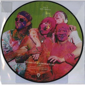 RED HOT CHILI PEPPERS GO ROBOT 2017 RECORD STORE DAY 12" PICTURE DISC NEW! - Picture 1 of 2