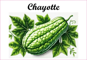 Chayotte 12 Etiquettes vinyle conserve fruit légume confiture fait maison - Picture 1 of 14