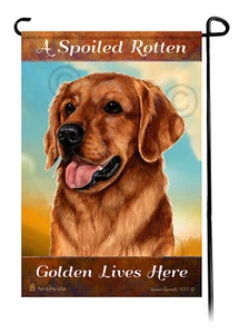 A Spoiled Rotten Dark Golden Lives Here - Imagen 1 de 1