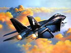 V2008 Grumman F-14 Tomcat schwarz Luftwaffe Krieg Militär Dekor WANDPOSTER DRUCK