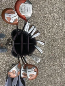 Tailor Made Golfschläger Satz mit Lufthansa Tasche  - Bild 1 von 7