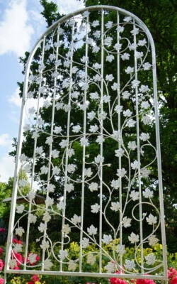 Rankgitter  Sichtschutz  Spalier Rosengitter Bachus-RBRG Zink Feuer verzinkt - Bild 1 von 4