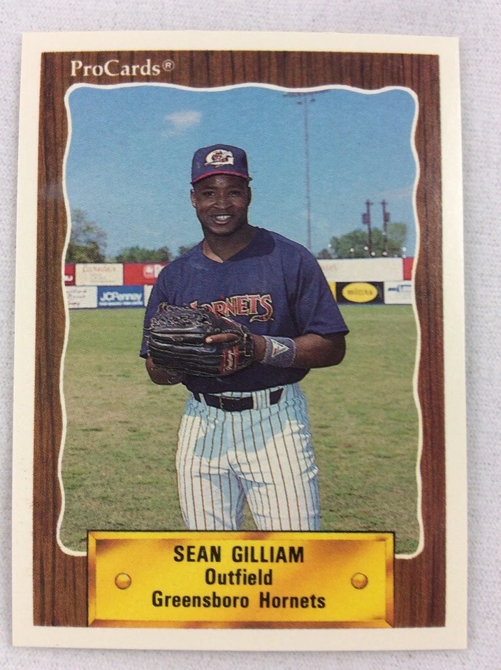1990 Greensboro Hornets-ProCards Baseball Card-Sean Gilliam - Image 1 of 1