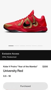 Size 12 Nike Zoom Kobe 5 Protro Year of the Mamba/ HF5182-600 IN HAND SHIPS NOW - Picture 1 of 7