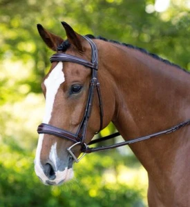 KL Select Red Barn Hampton Bridle - Imagen 1 de 1