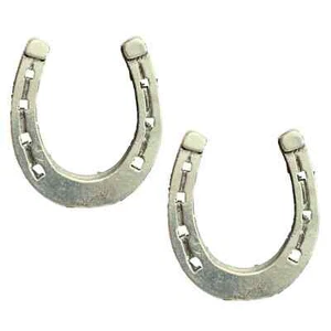 2 x Insignias de prendedor de peltre inglés de herradura ecuestre-PAG - Imagen 1 de 3