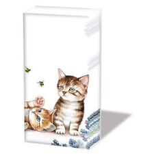 A - Taschentücher  21,5 x 22 cm – 4-lagig – á 10 Stück pro Packung - Cats And Be