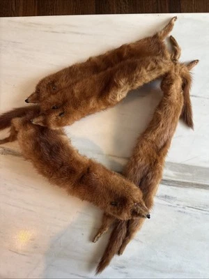  Vintage Mink Fur Collar Stole With 4 Complete Full Body Pelts - Image 1 of 4