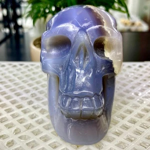 467G Natural Crystal Rare Banded Blue Flower Agate Skull Carving - Picture 1 of 11