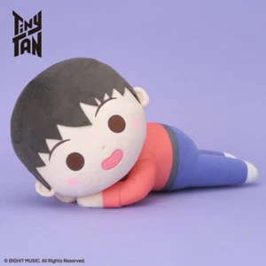 TinyTAN j-hope Dynamite Dreamy Mega Jumbo Big Plush Japan - Picture 1 of 5