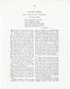BEDLINGTON TERRIER SECTION ANTIQUE 1907 DOG BOOK ORIGINAL PAGES TEXT & IMAGES - Picture 1 of 3