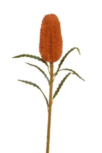 Culinary Concepts London Faux Orange 70cm Protea Dary Stem - Picture 1 of 1