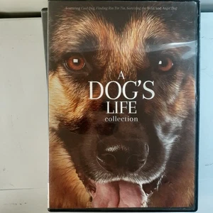 A Dogs Life Collection: Cool Dog, Finding Rin Tin Tim, Angel, Wild DVD DISK ONLY - Picture 1 of 5