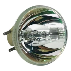 Infocus SP-LAMP-073 Philips Projector Bare Lamp - Imagen 1 de 5