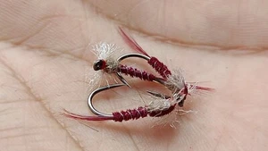 3 x mosca muschiata chiara taglia 12 senza spine - Foto 1 di 2