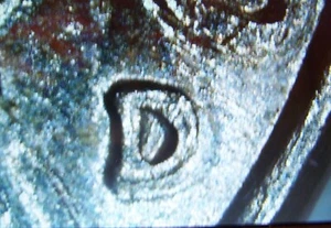 2000-D JEFFERSON NICKEL WITH ERRORS DDO DOUBLING ON D MINTMARK CIRCULATED - Picture 1 of 5