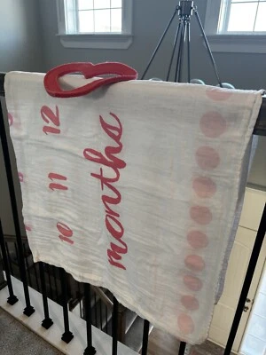 Cloud Island Monthly Milestone Blankets Muslin + Frame Baby Girl - Image 1 of 2