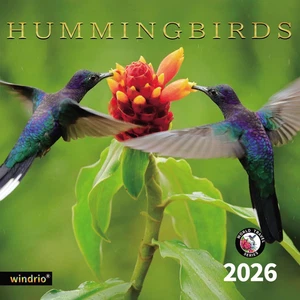2026 Wandkalender Kolibris Jul 2025-Dez 2026, 12" x 24" bunte Vögel - Bild 1 von 12