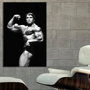 EB020 Arnold Schwarzenegger Fitness Gym Exercise Motivation Poster and Canvas - Picture 1 of 6