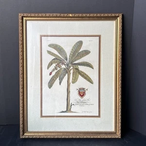 Vintage Duke of Chaulnes Framed - President Royal Academy of Science at Paris - Picture 1 of 23
