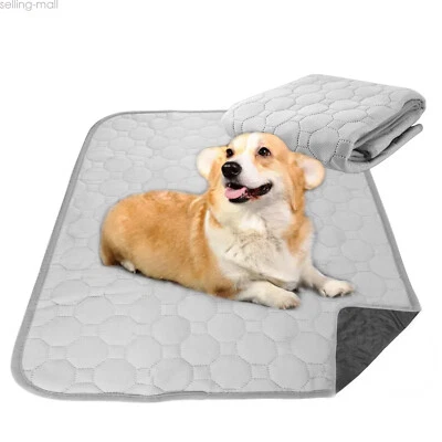 Almohadillas reutilizables para cachorros almohadillas de entrenamiento para mascotas almohadillas para cachorros súper absorbentes para perro gato Foto 1 de 4