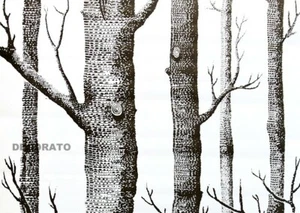 10M BLACK WHITE TREES FABLON SELF ADHESIVE WALLPAPER STICKY BACK PLASTIC UK - Picture 1 of 5