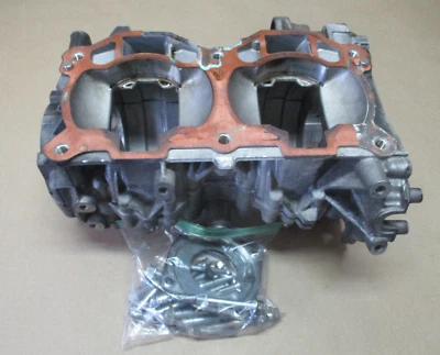 Maletín motor Ski doo 2019 REV BackCountry 600R Etec MXZ Summit 19 20 fundas Y Foto 1 de 4